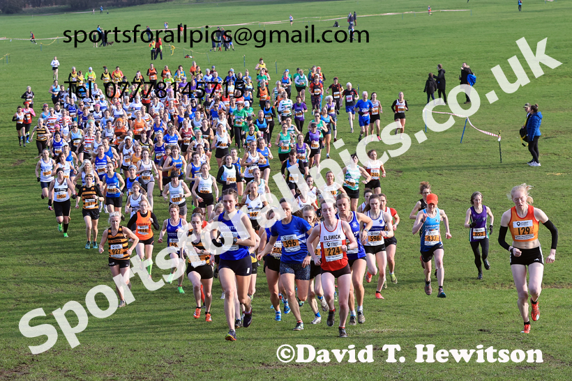 Senior Womens 2026 NEHL Sherman Cup and Davidson Shield, Temple Park, South Shields. Photo: David T. Hewitson/Sports for All Pics